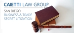 Business and Trade Secret Litigation